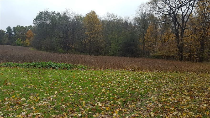 Gently rolling acreage with Cuyahoga River frontage.  About 1/3 of the land is currently used for farming, the remainder is heavily wooded.