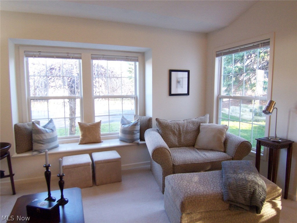 Woodbury Condo Assoc - Residential