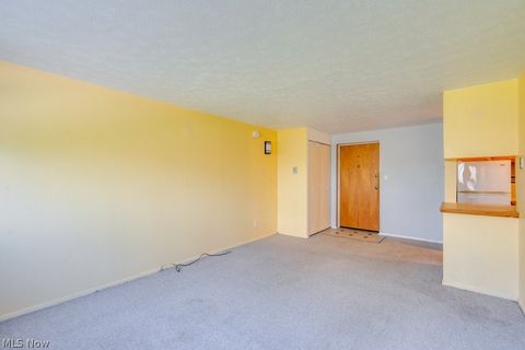 Tiny photo for 115 S Rocky River Drive #303, Berea, OH 44017 (MLS # 5202875)