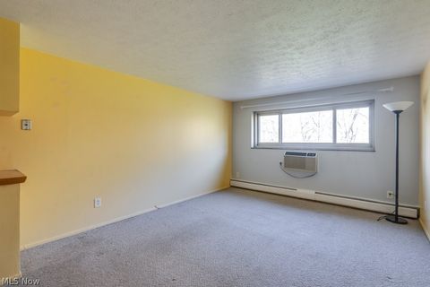 Tiny photo for 115 S Rocky River Drive #303, Berea, OH 44017 (MLS # 5202875)