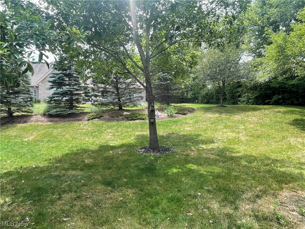 Scotsbury Hills Allotment - Residential