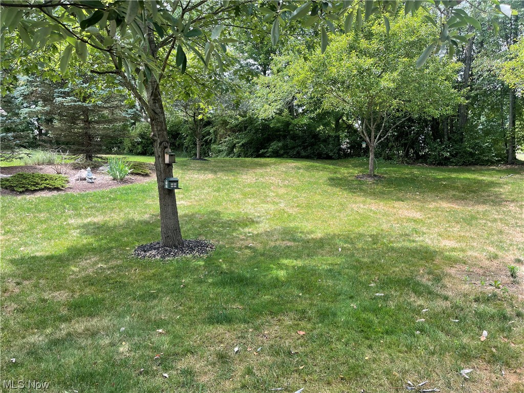 Scotsbury Hills Allotment - Residential