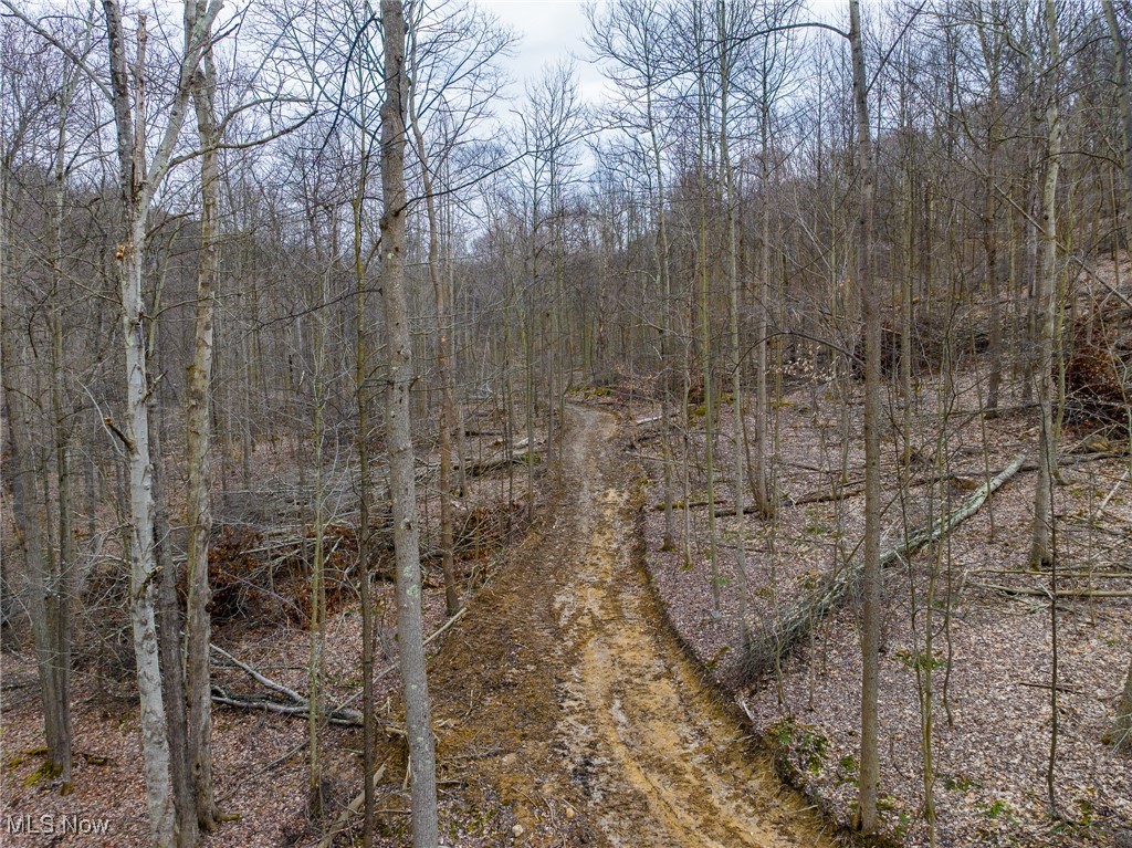 Township Road 262, Kimbolton, Ohio image 22