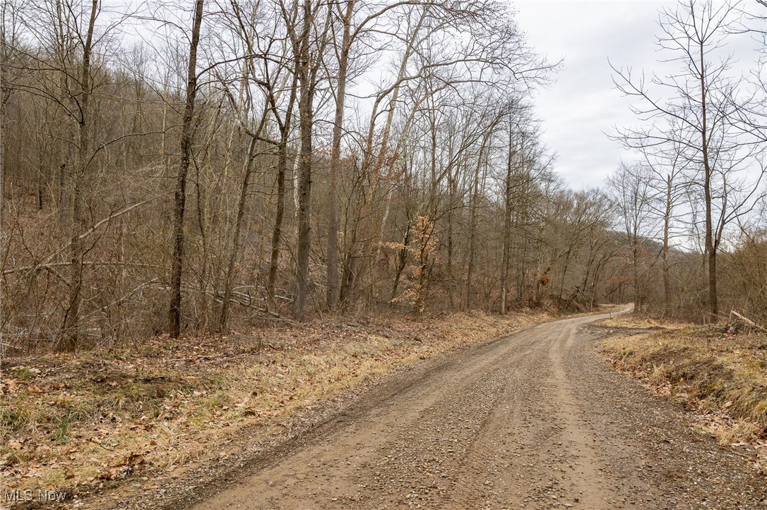 Township Road 262, Kimbolton, Ohio image 3