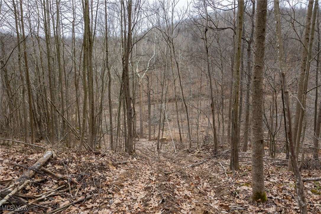 Township Road 262, Kimbolton, Ohio image 7