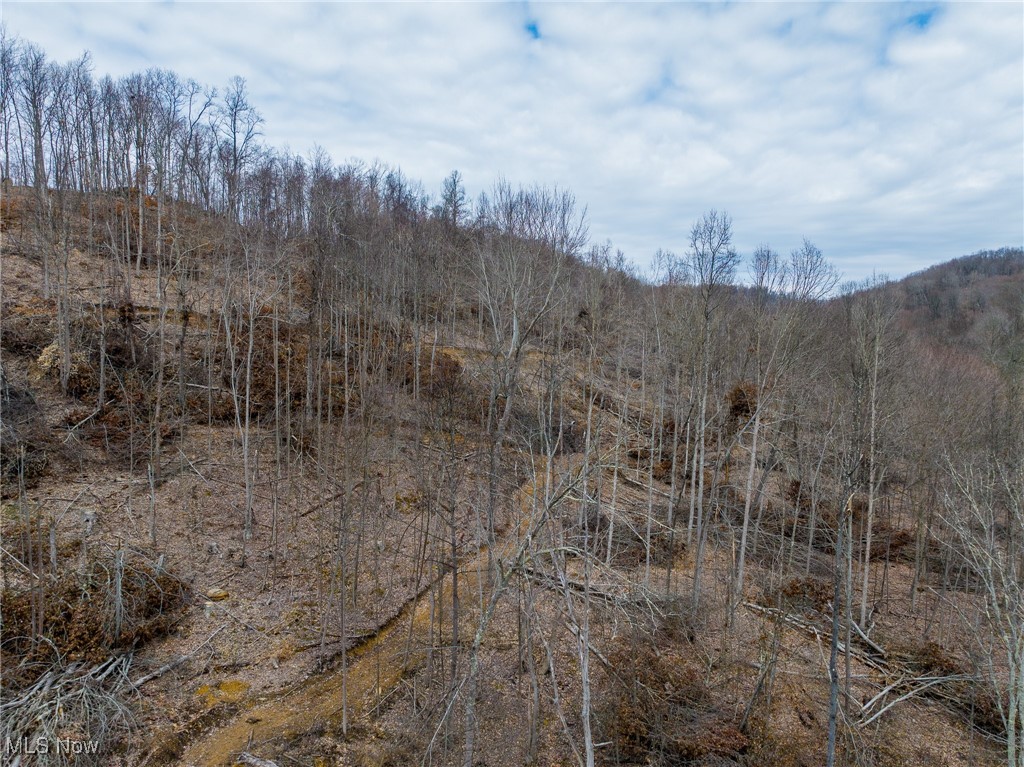 Township Road 262, Kimbolton, Ohio image 25