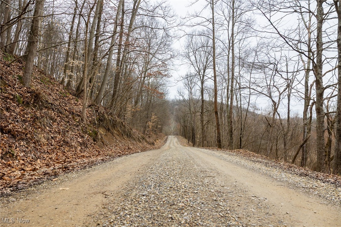 Township Road 262, Kimbolton, Ohio image 2