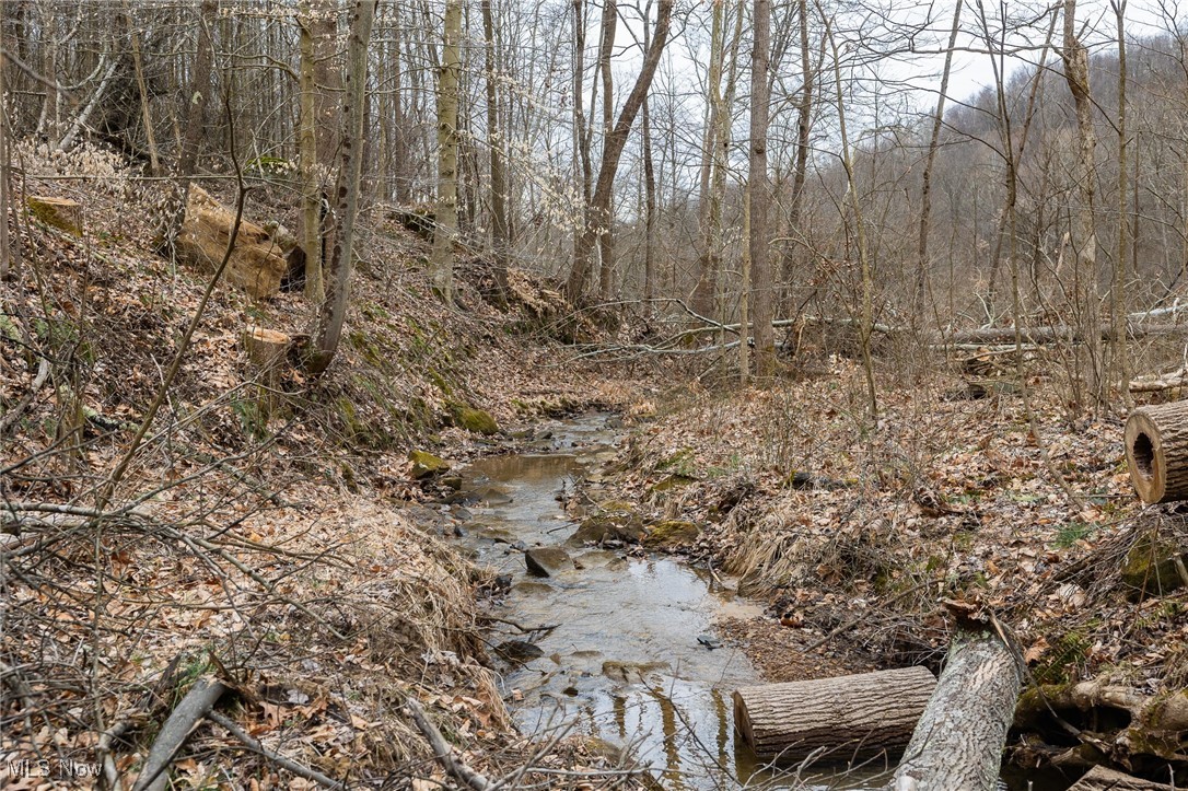 Township Road 262, Kimbolton, Ohio image 9