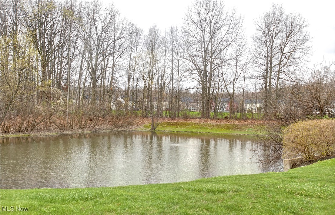 35317 Emory Drive, Avon, Ohio image 31