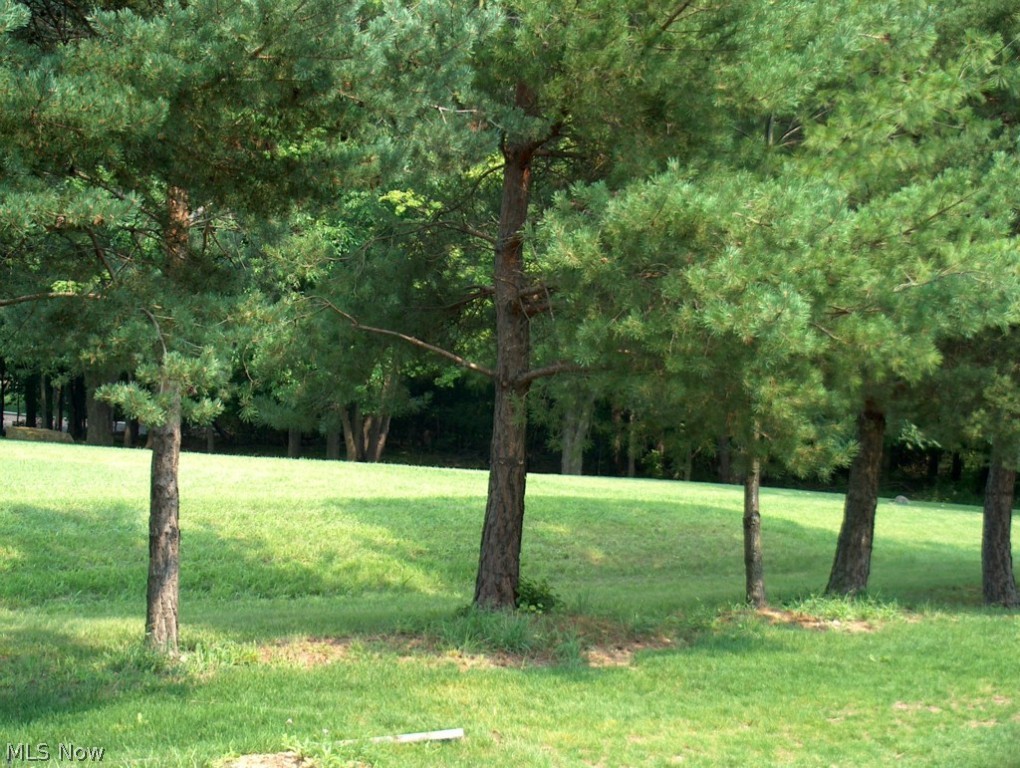 Briar Ridge - Residential