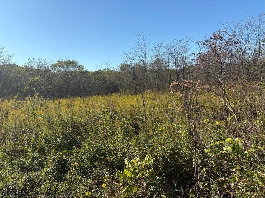 20 Acres in East Muskingum Schools. Public water is available, buyer responsible for tap fee. Please have agent with anyone walking property.