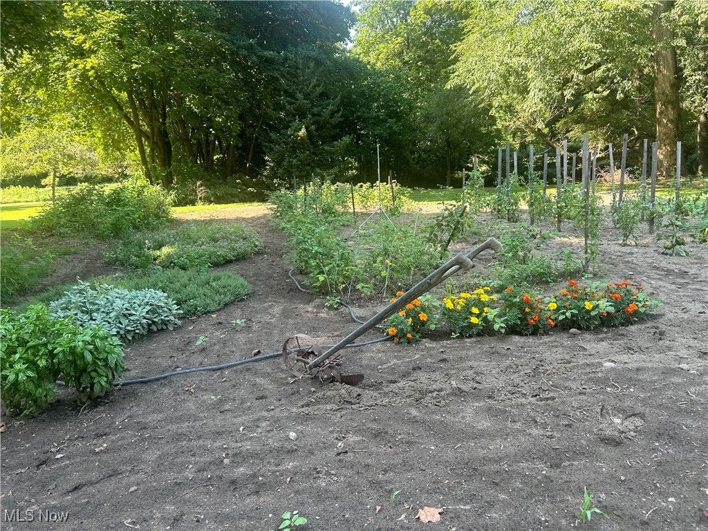 Goodrich Surv - Residential