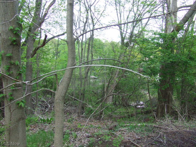 Akron - Land