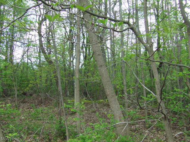 Akron - Land