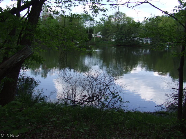 Rare, vacant land located on Marion Lake, on Cuyahoga Falls/Akron boarder. 2 parcels, approximately 7.57 acres, some on the water, ready for you to purchase and build your dream home. Property actually has Marion Lake on one side and Little Beaver Pond on the other side, plus lots of woods in between. Seller is working on having non-dedicated road removed so parcels would be connected.