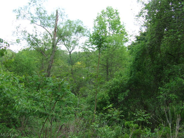 Akron - Land