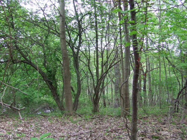 Akron - Land