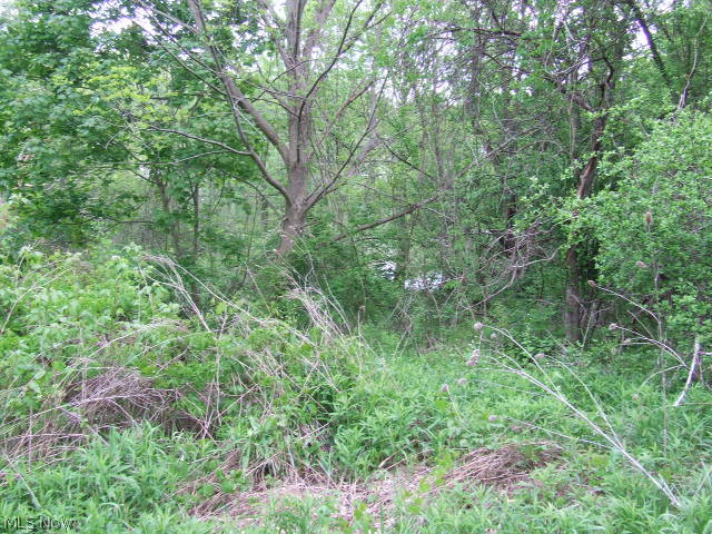 Akron - Land