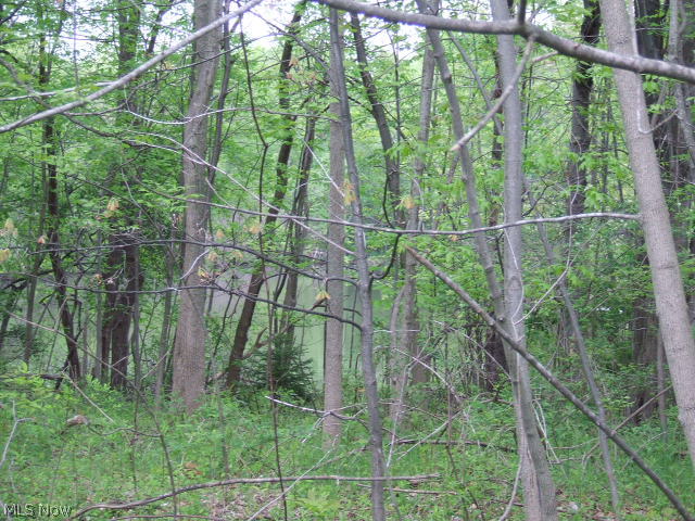 Akron - Land