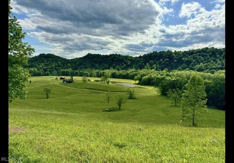 Vacant Land For Sale - 988 Young Lane<br/> Elizabeth, WV 26143