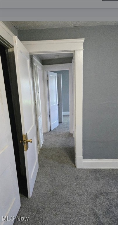 Moses - Residential Lease