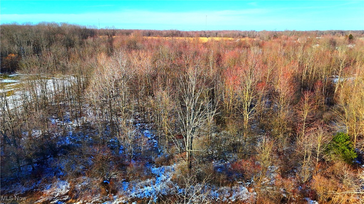 Dodgeville Road, Andover, Ohio image 11