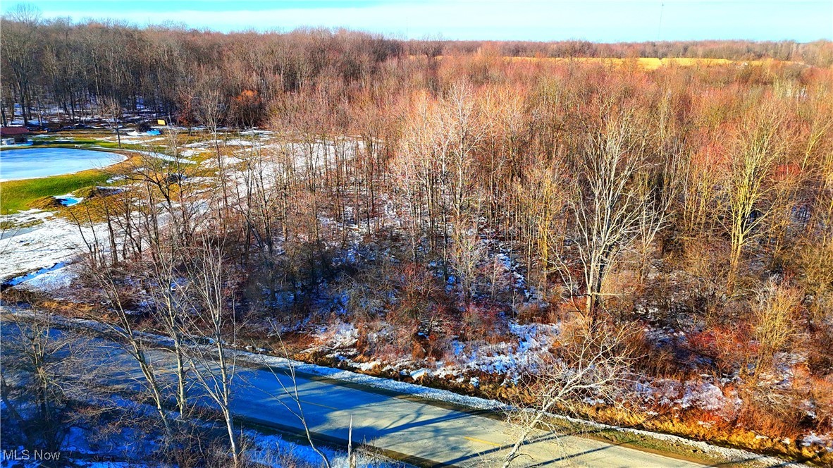 Dodgeville Road, Andover, Ohio image 14