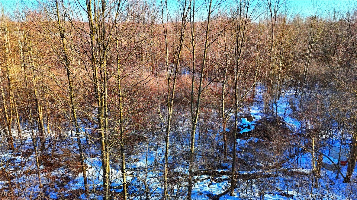 Dodgeville Road, Andover, Ohio image 8