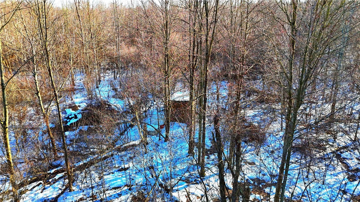 Dodgeville Road, Andover, Ohio image 13