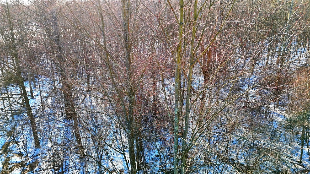 Dodgeville Road, Andover, Ohio image 10