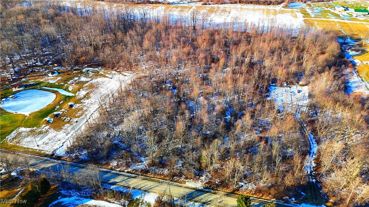 Dodgeville Road, Andover, Ohio image 4
