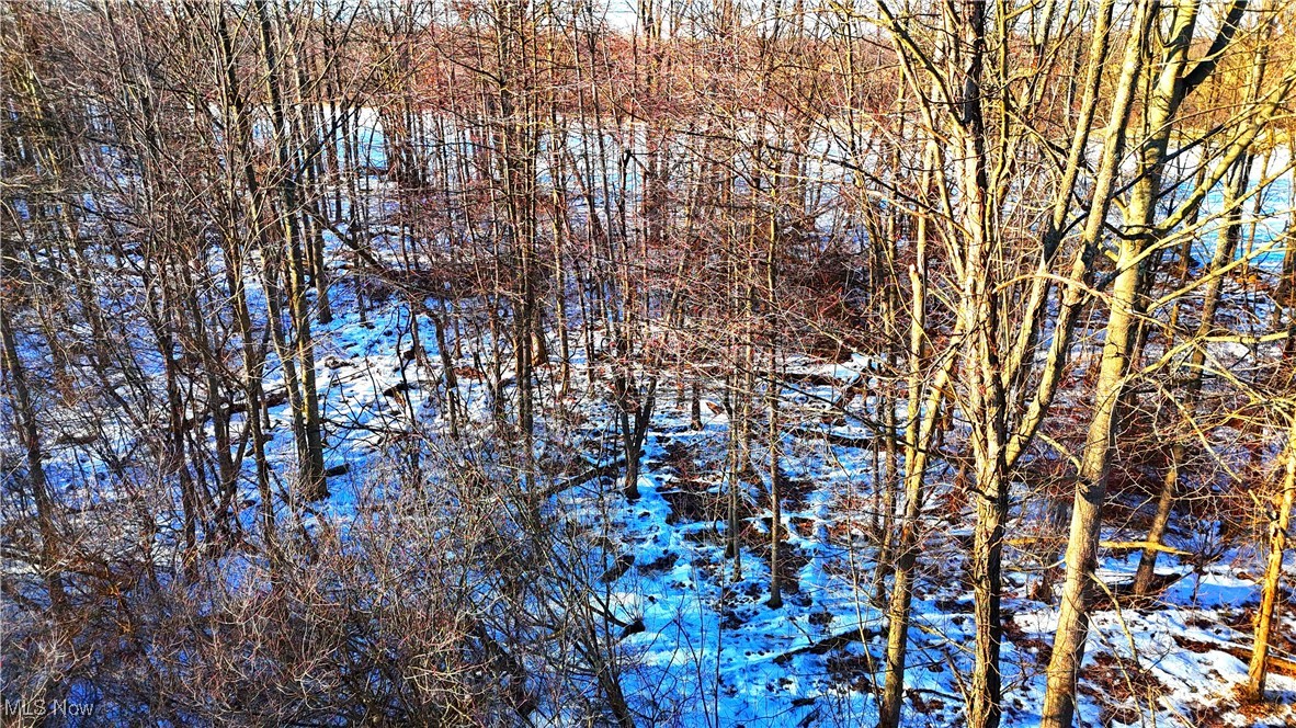 Dodgeville Road, Andover, Ohio image 6
