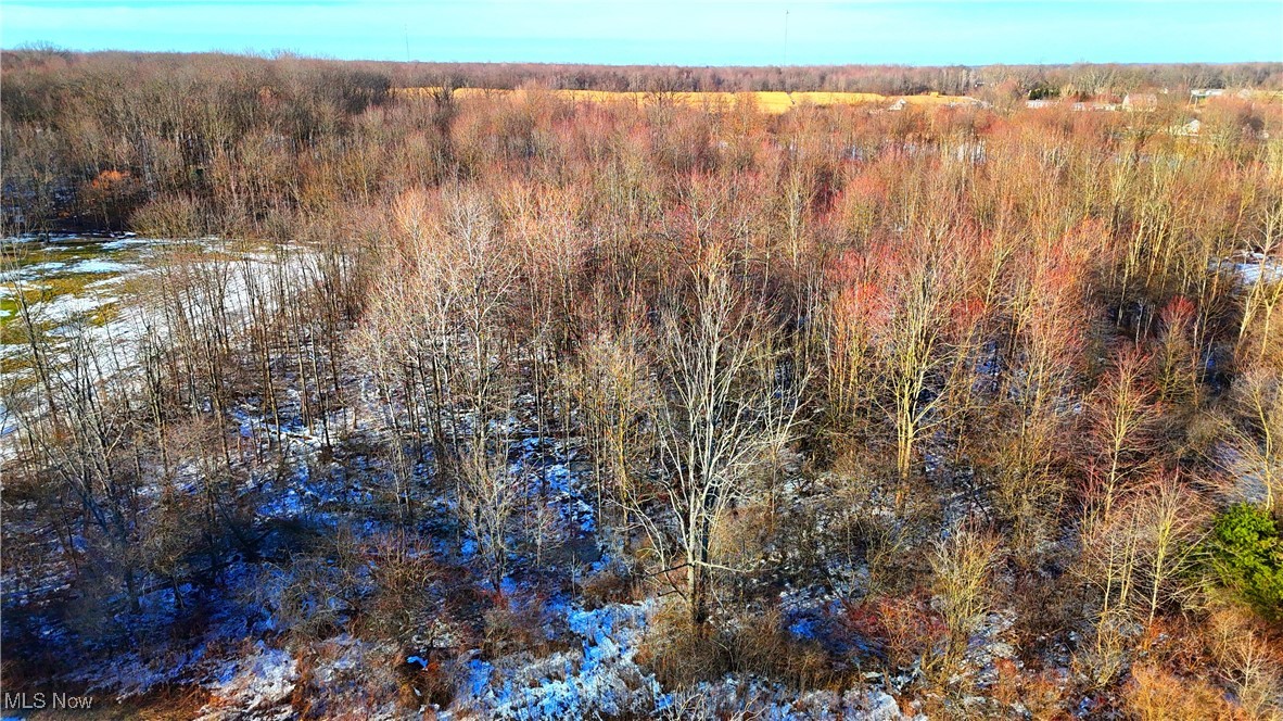 Dodgeville Road, Andover, Ohio image 16