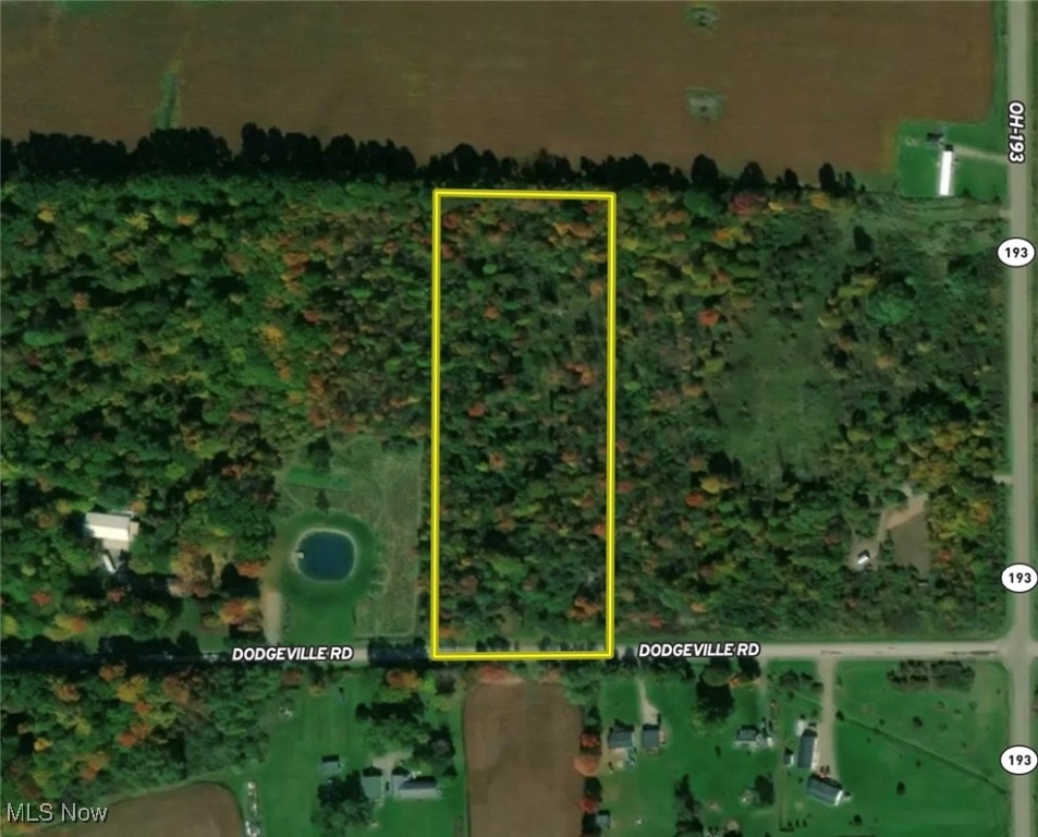 Dodgeville Road, Andover, Ohio image 18