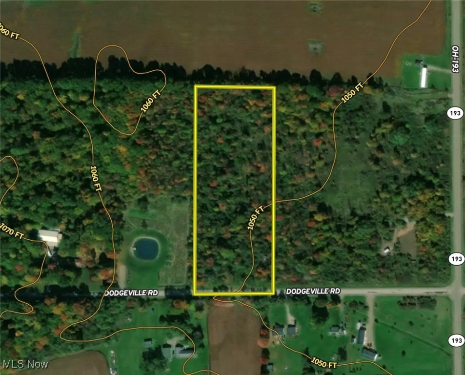 Dodgeville Road, Andover, Ohio image 19