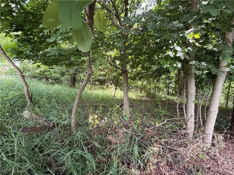 Vacant Land For Sale - 685 Sanchez Trail<br/> Carroll County, Malvern, OH 44644