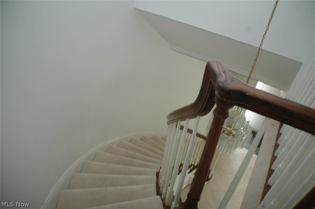 Meadowlawn Condo - Residential