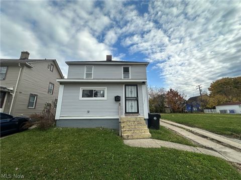 Photo of 3541 E 113th Street, Cleveland, OH 44105 (MLS # 5190428)