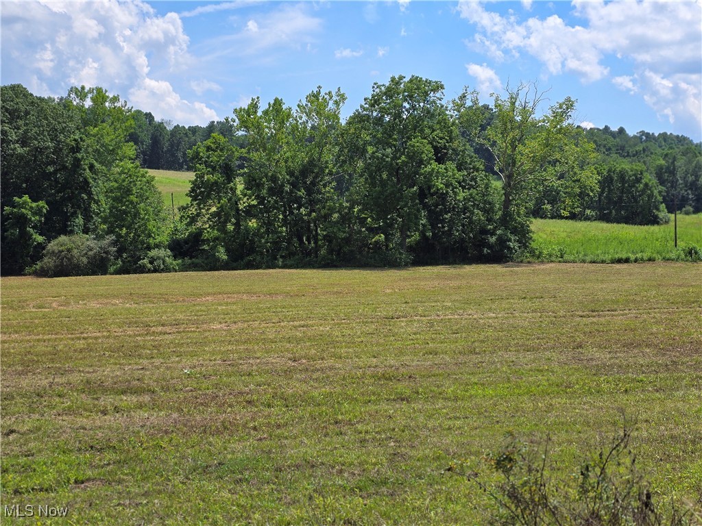 7.38 Acres Adjoining the Wolfe Creek State Of Ohio Hunting land Preserve with 860 Plus feet of Frontage on Wolfe Creek and 272 Feet of Road Frontage on Rosseau Road, This Parcel is situated in a Picturesque Valley with a Property Line Shared with the Wolf Creek State of Ohio Wildlife Area. This is an Ideal Property for those who Like to Hunt, Fish or Just Get Away from the Stresses of of Life and Relax and Enjoy Nature, Most of the Property is Cleared and Level with Many Great Sites to place a Cabin or Home
With Plenty of Room for Buildings, Pasture and Garden if one so Desires.