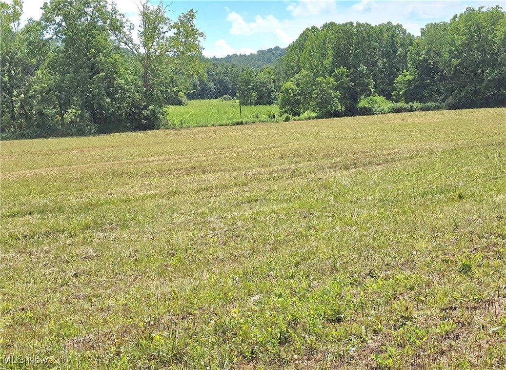 7.38 acres Rosseau Co. Rd. 13 Road