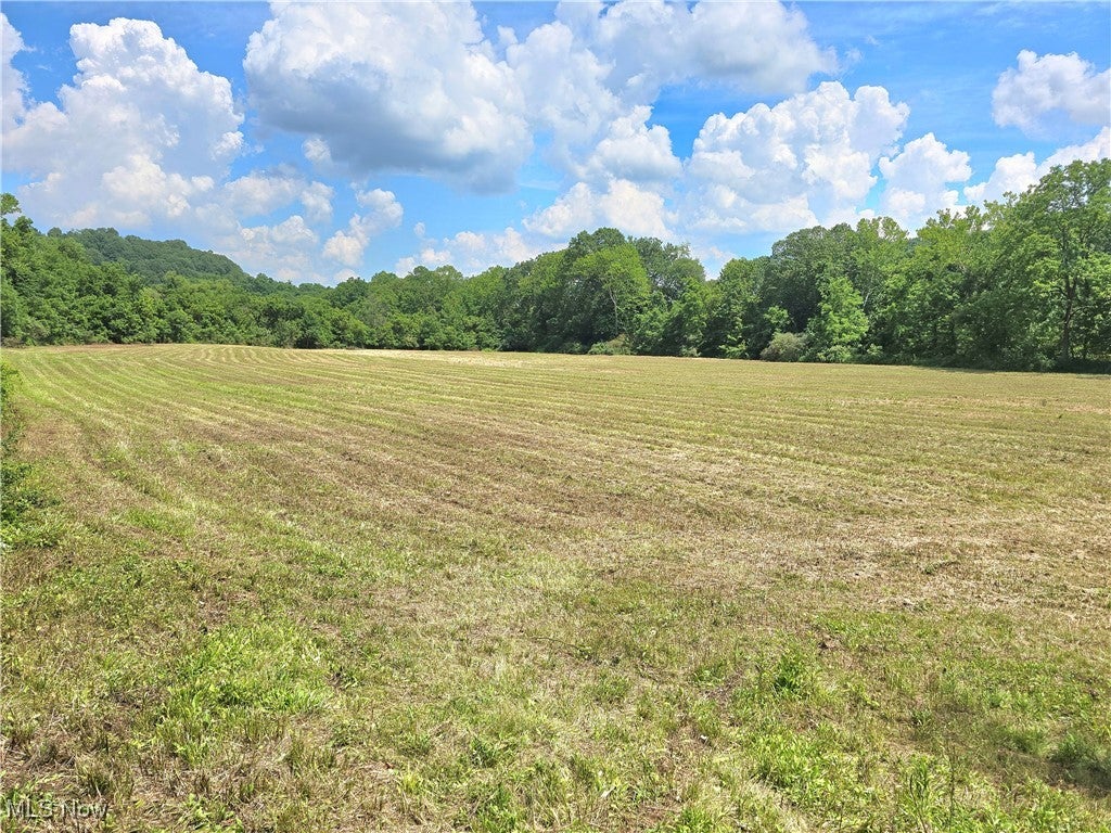 7.38 acres Rosseau Co. Rd. 13 Road