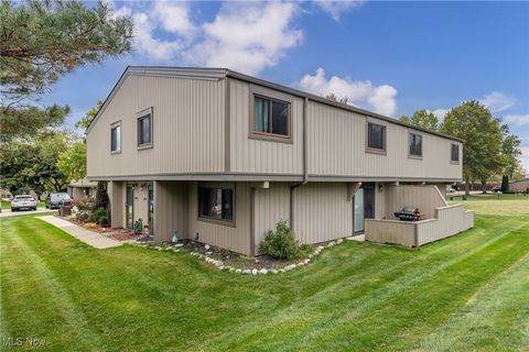 11806 Harbour Light Drive, North Royalton, OH 44133 - #: 5165167