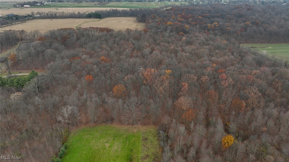 V/L Smith Road, Litchfield, Ohio image 6