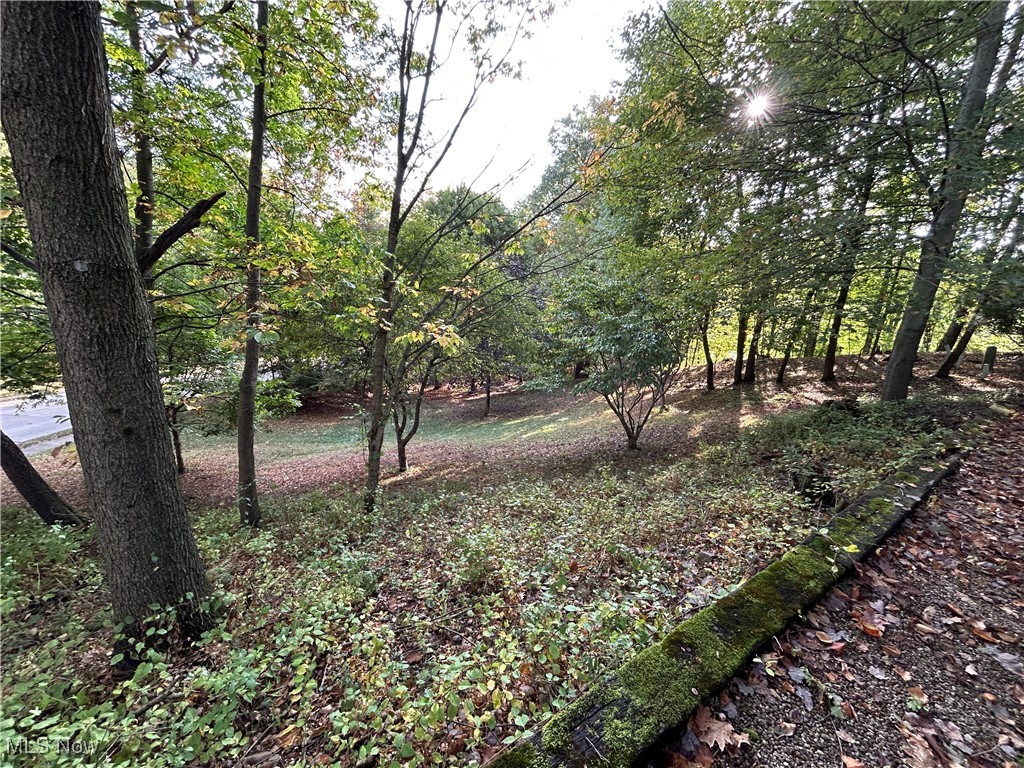 Willoughby Hills 1 - Residential