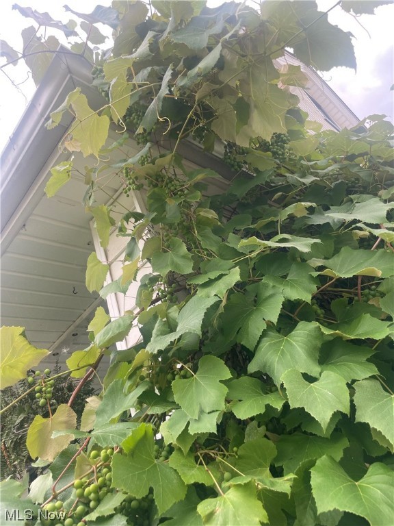 Pleasant Hill Allotment - Residential