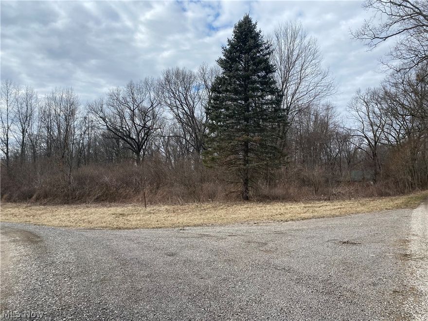 You don’t want to miss the opportunity to see this beautiful 1.31 acre piece of property in Hopedale, OH. Own your own private piece of land on a corner lot in a quiet neighborhood down a gravel lane that is just minutes from Route 22. Build your dream home or just have a piece of property of your own as a place to relax. Call today!

Property address will be changed upon purchase.
