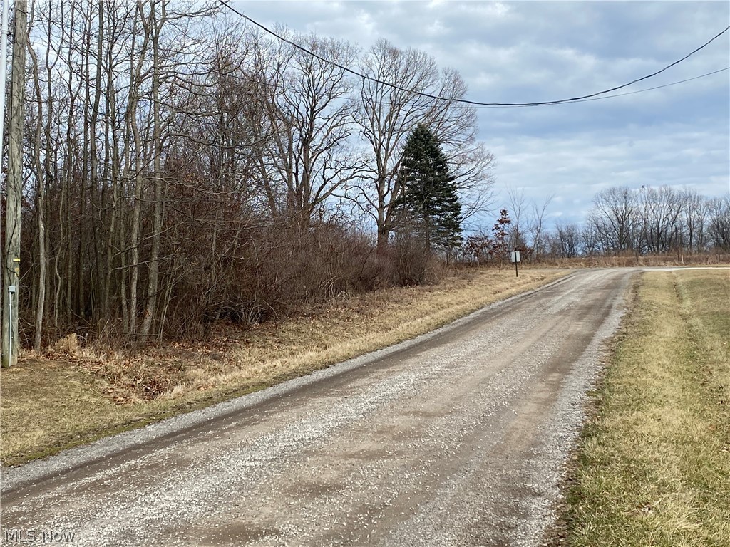 Woodland Park - Land