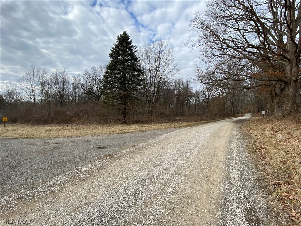 Woodland Park - Land