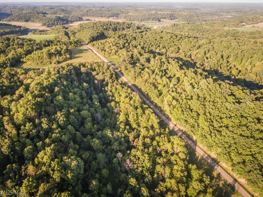 Auction - Auction - Auction - Here is a great recreational tract of land that has ample road frontage on Blizzard Ridge Rd. and has great hunting potential. Vacant acreage is still a hot commodity and is becoming harder and harder to find.   The acreage is mostly wooded with rolling hills and would make a great addition to anyone’s real estate investment portfolio!   The gas/oil/mineral rights transfer subject to an existing lease.   Older 1,200 sq. ft. home on parcel 2.  Walk the land at your earliest convenience.  The property will be offered in 3 parcels and then in combination.