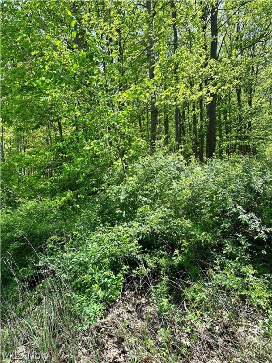 Beautiful wooded 7 plus acres with a creek and privacy.